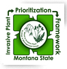 Invasive Plant Prioritization Framework