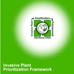 Invasive plant prioritization framework icon
