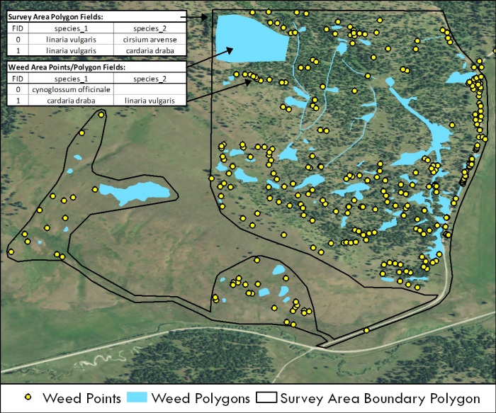 Point and Polygon Surveying Diagram